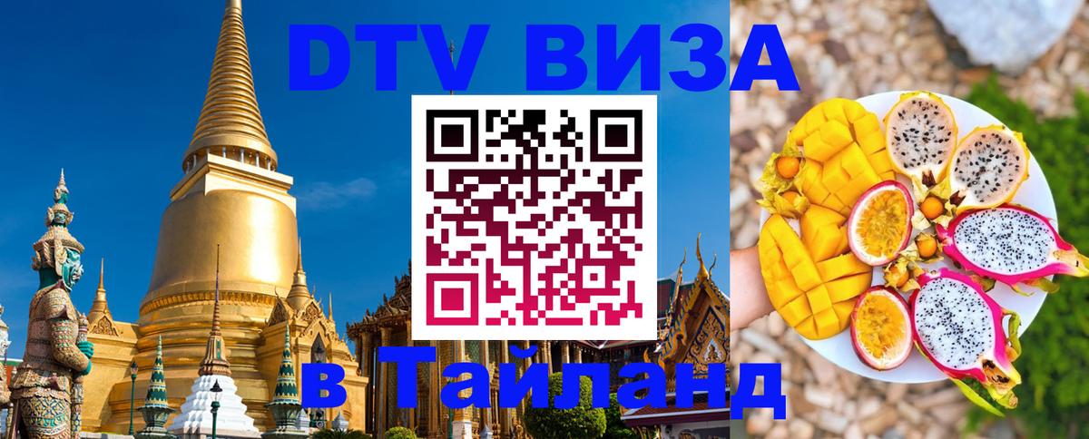 Оформление DTV визы под ключ: стоимость и тарифы, только загранпаспорт - Казань  03.10.2025 